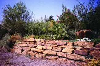 Rock garden with plants growing on the upper level.
