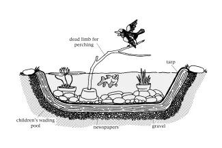 Construction design for a wading pool. 