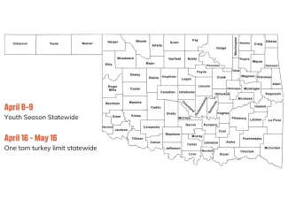 Spring Turkey | Oklahoma Department of Wildlife Conservation