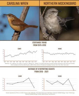 Graphs showing the trends and average counts of Carolina wrens and northern mockingbirds