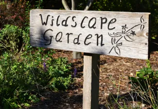 A wooden sign with the words "wildscape garden" carved with a small illustration of a flower. 