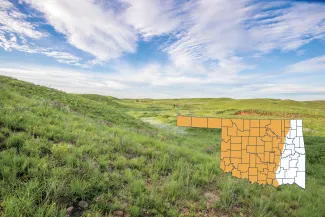 A landscape view of Ellis County WMA with sparse green vegetation on rolling hills with a map of the Texas horned lizard's historic range superimposed in the lower right corner.