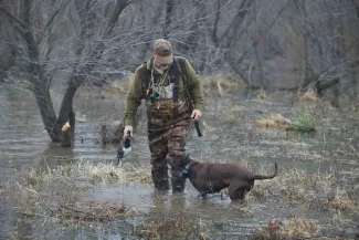 A man with a duck in his hand looks down at a brown dog. 