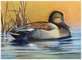 hm1 duck stamp 24