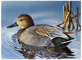 Honorable Mention: Gunner Hilliard of Williamstown, N.J.