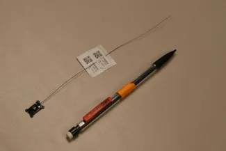 Motus tags are attached to animals, allowing biologists to track the animal's movements across the Motus network.