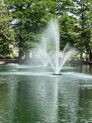 Two aerators spewing water in a small pond. 
