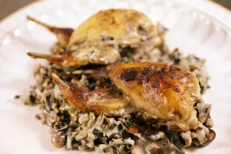 An image of quail and wild rice casserole on a plate.