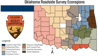 f2 quail survey ecoregions