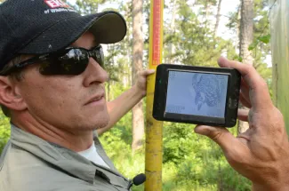 A biologist holds a pole in one hand and a screen showing a red-cockaded woodpecker in a nest in the other. 