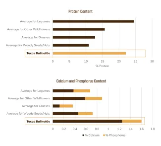 A graph showing the nutritional value of bullnettle compared to the average of other vegetation groups. 