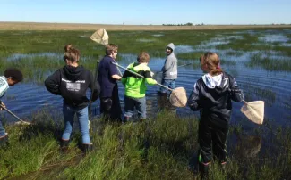 A group of students are catching critters at Hackberry Flat for a field trip.