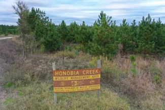 Honobia Creek WMA