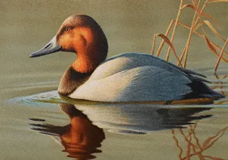 runner up john brennan