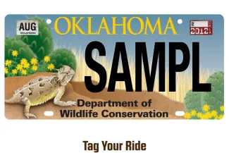 A sample specialty auto license plate showing a Texas horned lizard basking in the lower left corner.