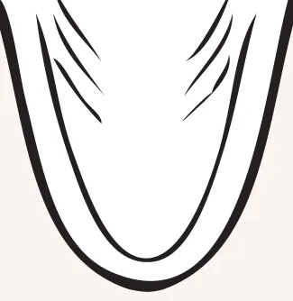 A figure showing a top down view of a Largemouth bass. The figure shows that there is no tooth patch.