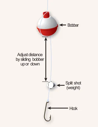 A graphic that depicts how to attach a bobber, weight and hook to a fishing line. Pass the line through the top and bottom hooks of the bobber. A few inches below is the Split shot (weight). The hook is attached below the weight.