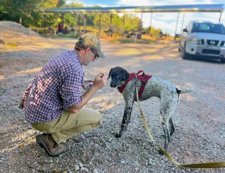 man crouched down to give hunting dog a treat