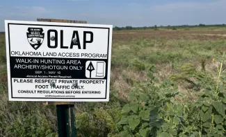 OLAP Sign
