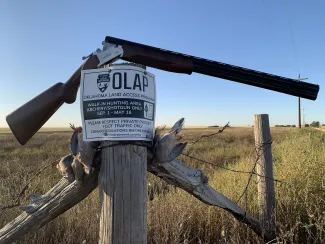 OLAP sign with a gun a dove displayed around it