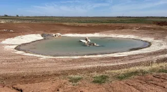 Pond Construction