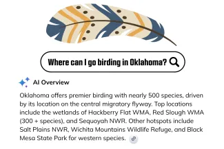 A graphic showing a search bar with a question of where to go birding in Oklahoma with the AI Overview response.