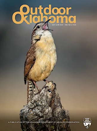ODO may june 2026 cover