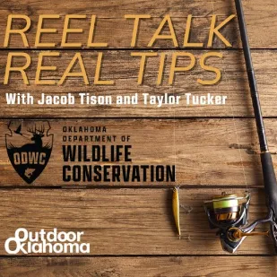 Reel Talk Real Tips YouTube thumbnail