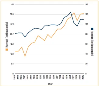 Dual-axis line graph, 'Archery Hunters and Harvest 2004-Current.' Hunters (right axis, thousands) rise from about 80,000 in 2004 to a peak near 125,000 in 2021, dip to 95,000 in 2023, then recover to about 110,000 by 2025. Harvest (left axis, thousands) follows a similar trend, growing from about 15,000 in 2004 to a peak near 40,000 in 2021, dropping to 33,000 in 2023, then rising to about 39,000 in 2025. Both track closely, with harvest trailing hunters by a couple years at the peaks.