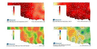 Four maps of Oklahoma showing number of days temperatures have been above 90 degrees and heat indices have been above 100 as well as rainfall information