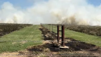Strips of land mowed along a fence line while a smoke from a fire fills the background.