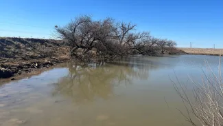 A pond under a blue sky.