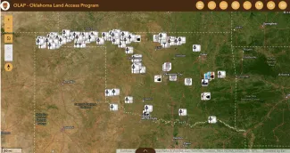 OLAP Map