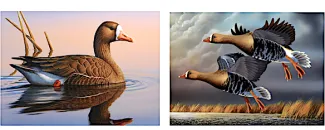 honorable mentions 1