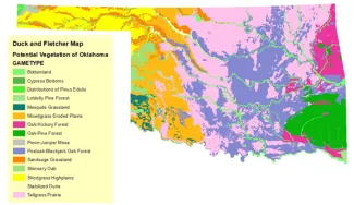 Map of Oklahoma showing potential vegetation types, including grasslands, forests, woodlands and other vegetation communities, with a legend identifying 14 vegetation types.