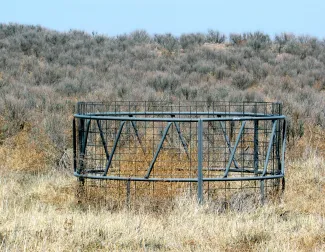 grazing exclosure