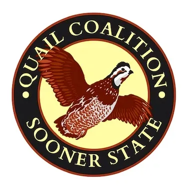 quail coalition s s small logo