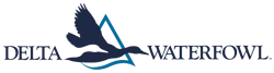 Delta Waterfowl