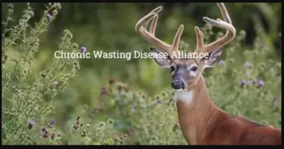 Chronic Wasting Disease Alliance