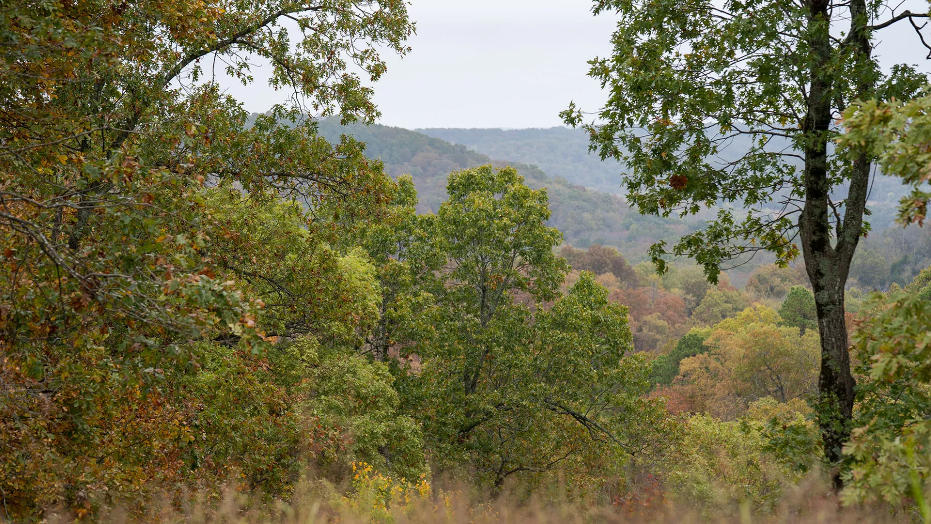 Hunters Campground (GMA & PHA) — photo 6
