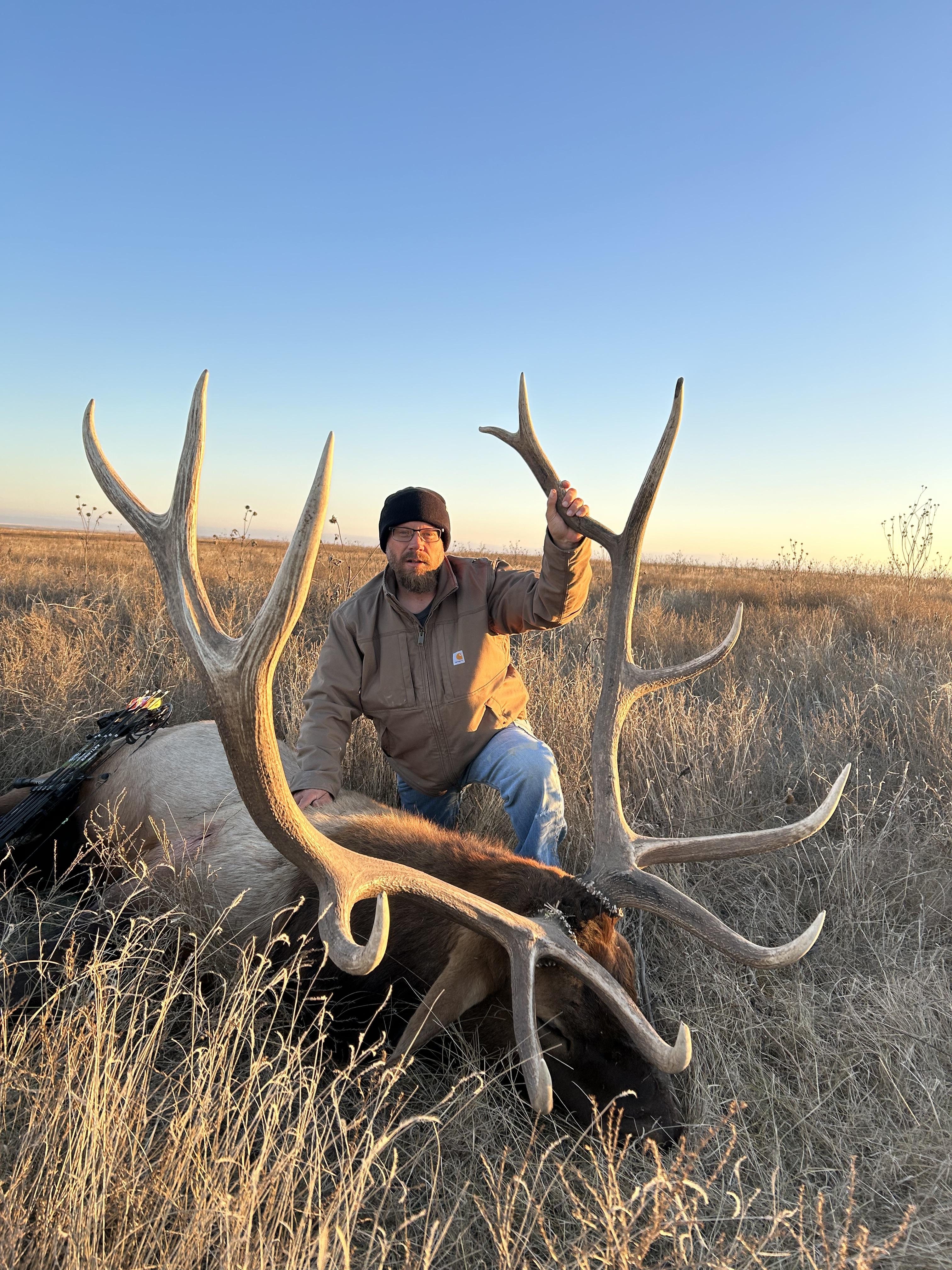 Typical Elk Erick Nelson 