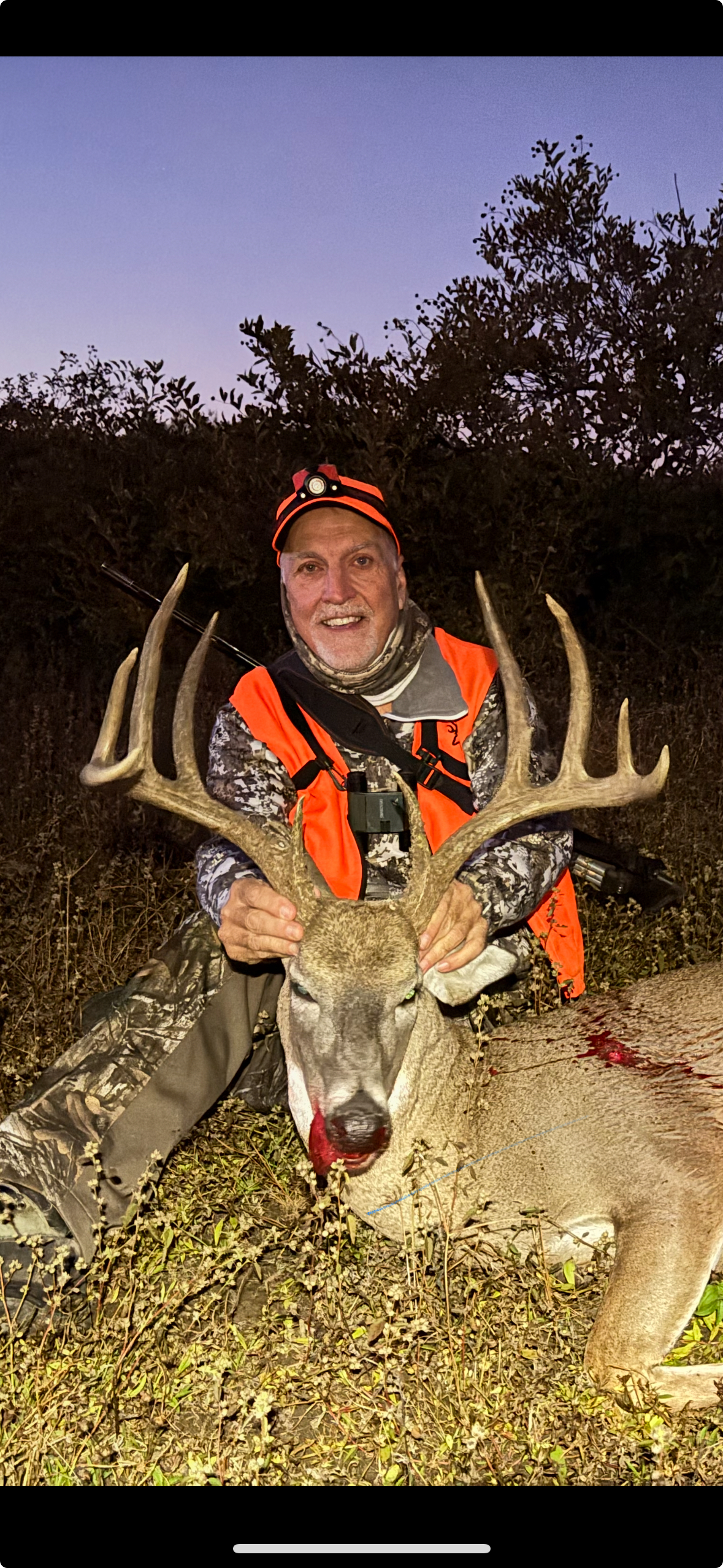 Typical Whitetail Deer James Brian Carson 