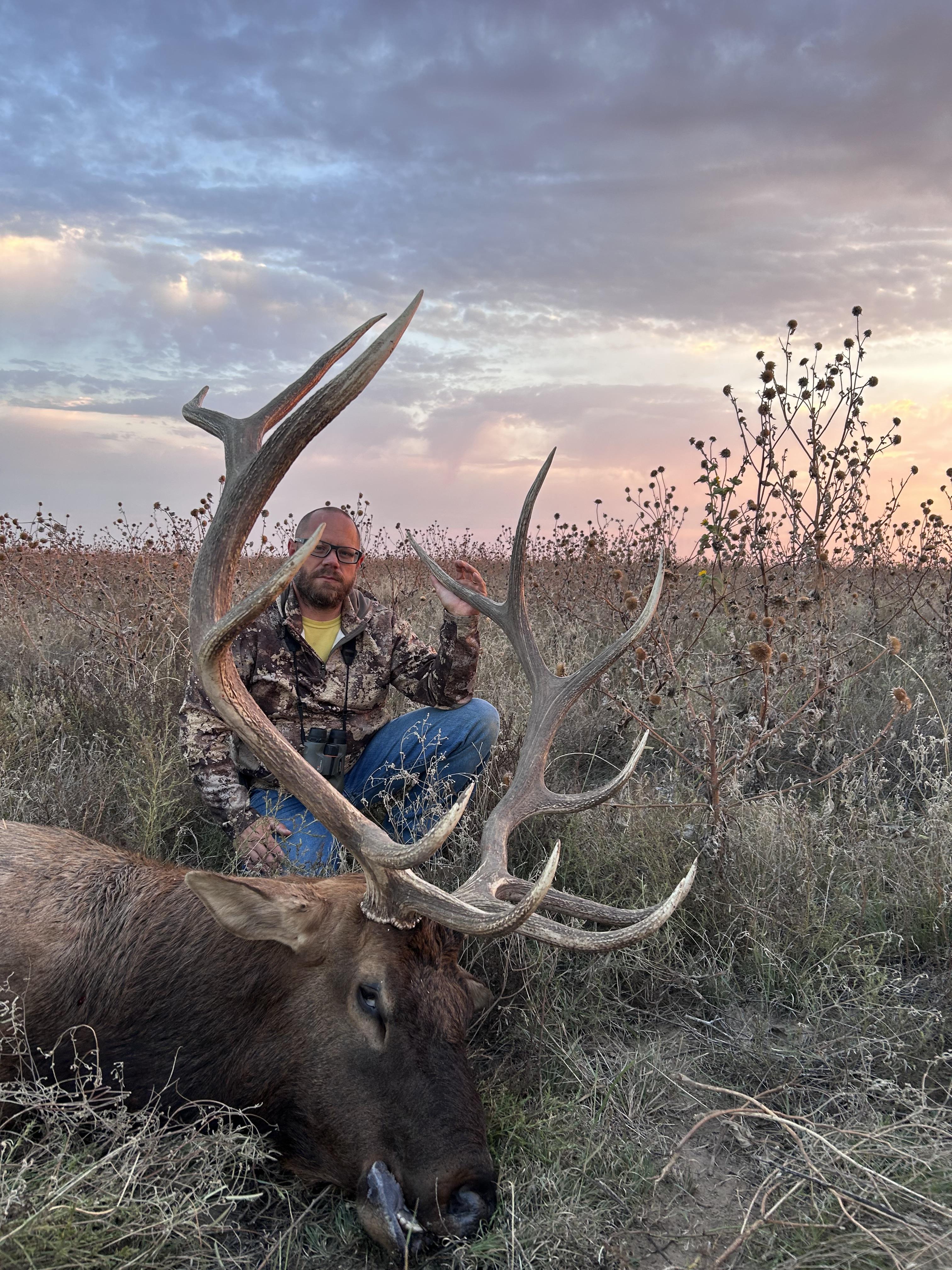 Typical Elk Erick Nelson 