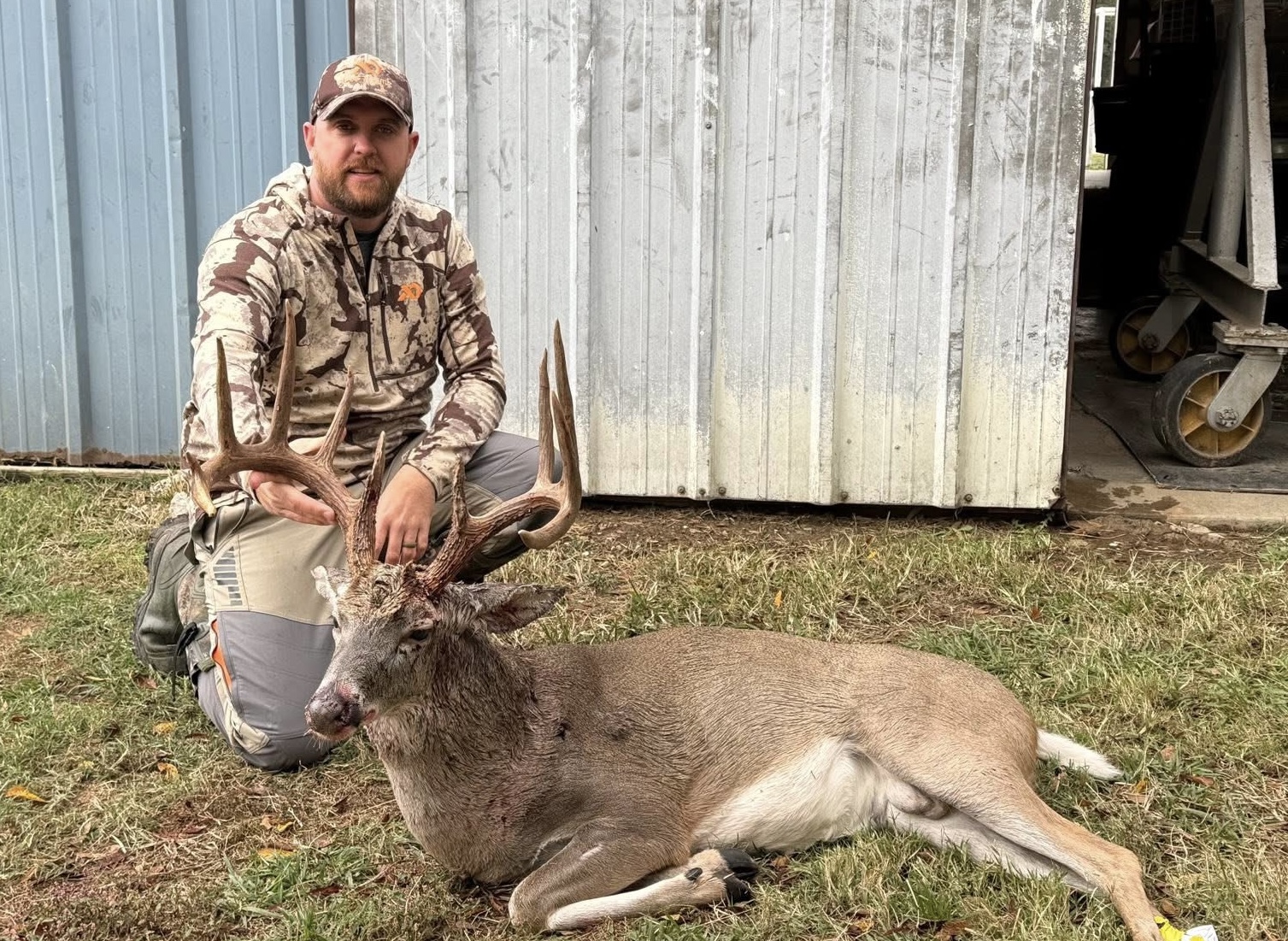 Typical Whitetail Deer W. Andrew Brown 
