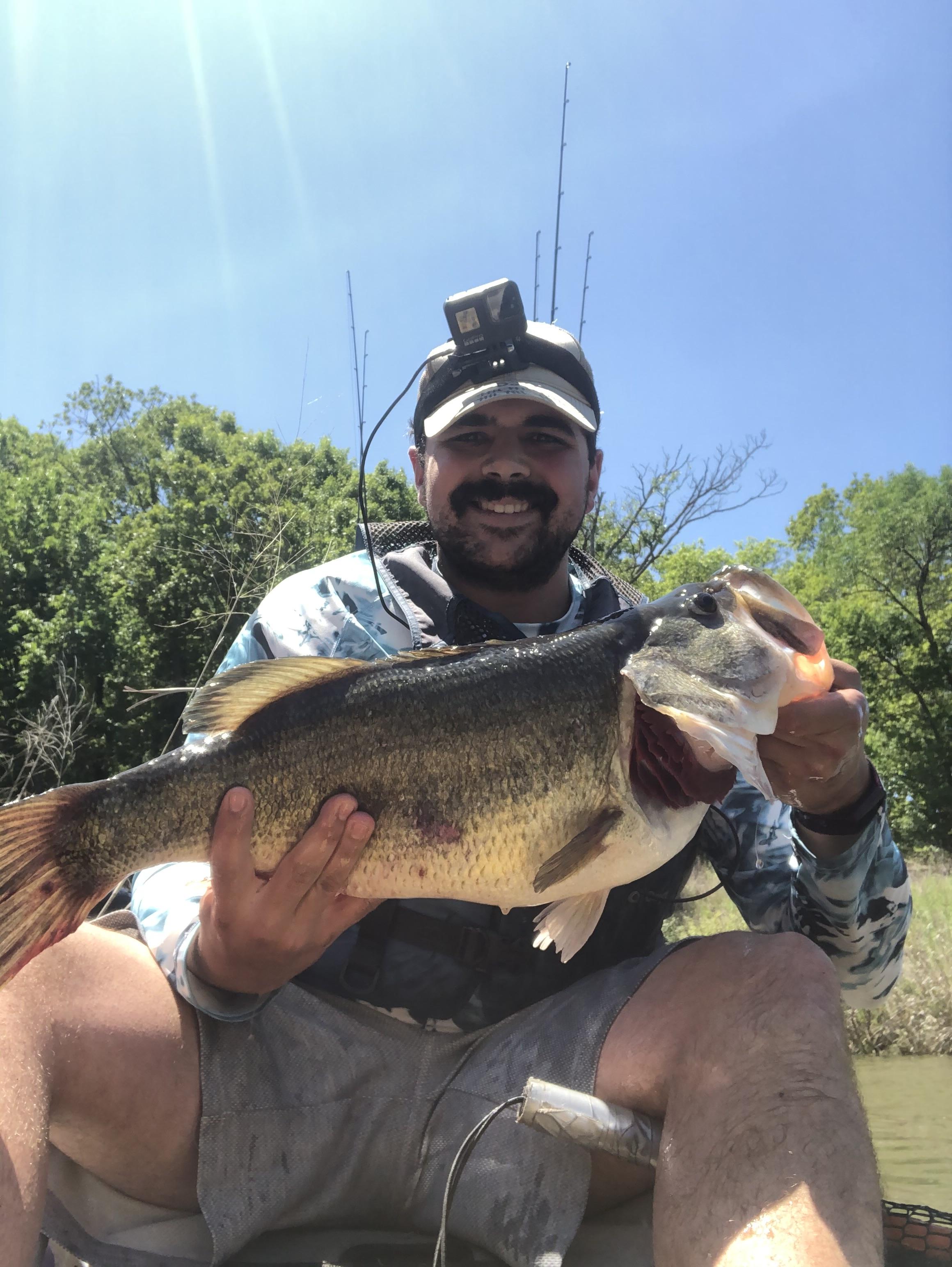 Chance B. LMB #2 11 lbs