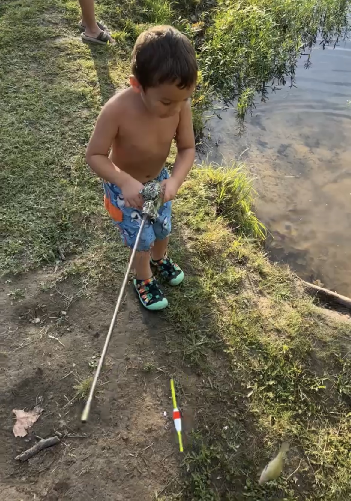 Wewoka Lake Oklahoma Department of Wildlife Conservation